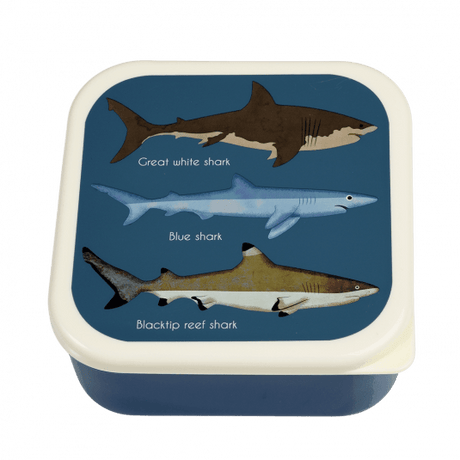 Sharks Snack Boxes ( Set Of 3 )