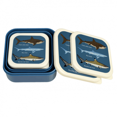 Sharks Snack Boxes ( Set Of 3 )