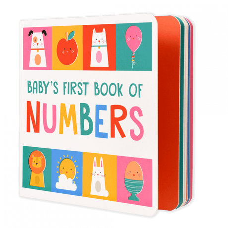 Baby's First Numbers Book