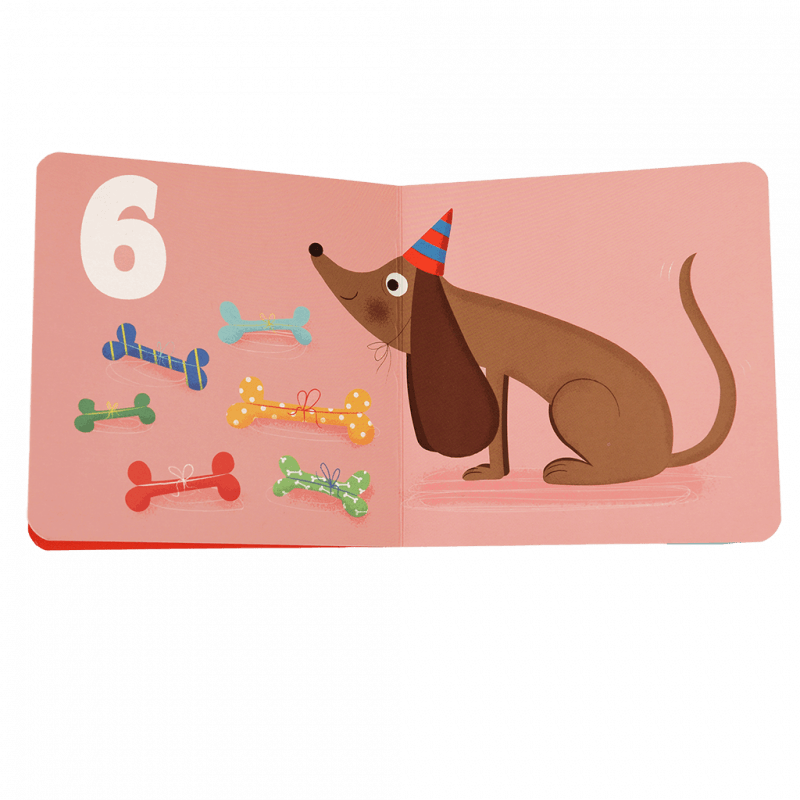 Animals First Book Of Numbers