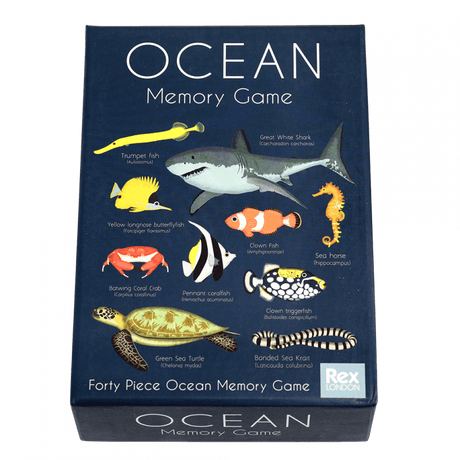 Ocean Memory Game (40 Pieces)