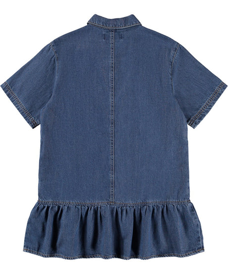 Celise Dress - Blue Vintage