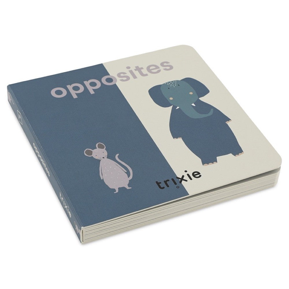 كتاب المتضادات