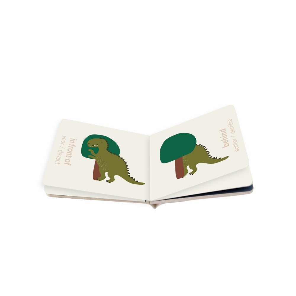 كتاب المتضادات