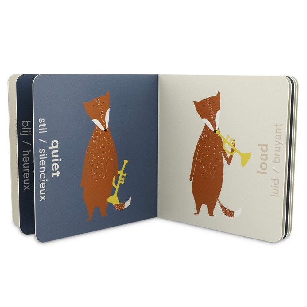 كتاب المتضادات