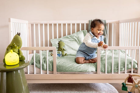 Plush toy Large - Mr. Dino