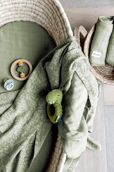 Wooden round rattle - Mr. Dino