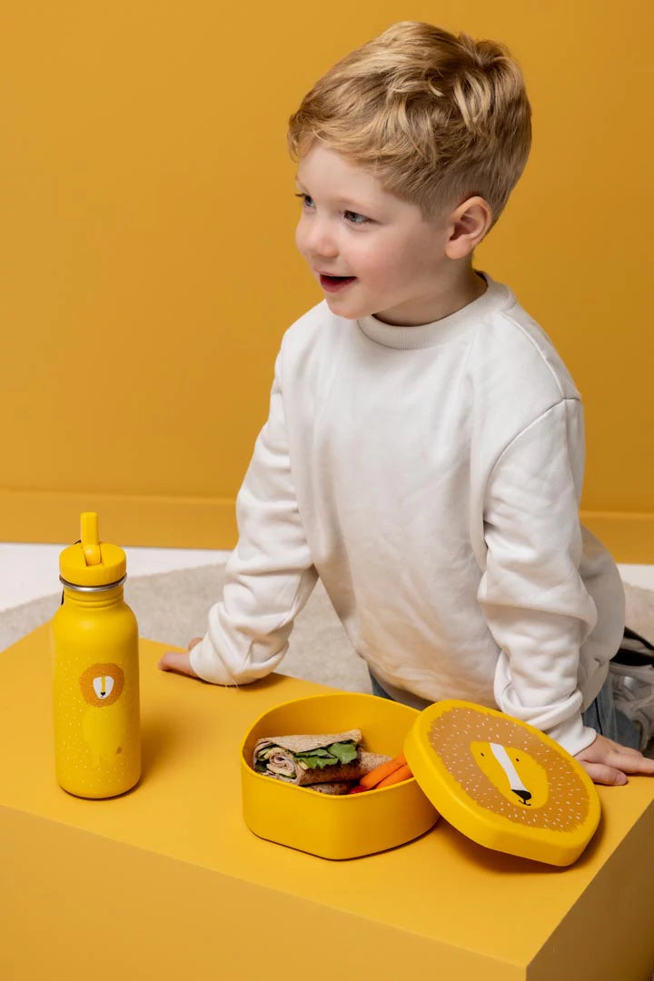 Shaped lunch box - Mr. Lion