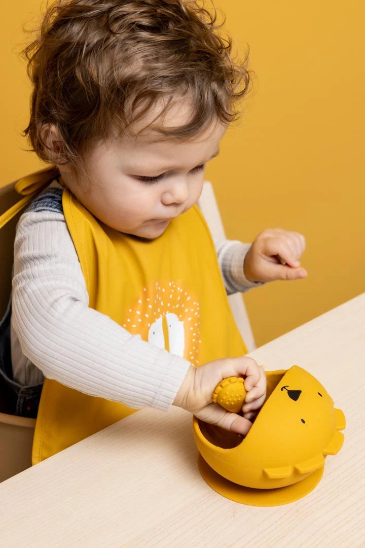 Silicone First Baby Meal Set - Mr. Lion