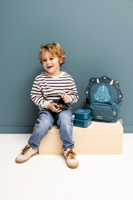 Snack box nesting - 3pcs - Mr. Triceratops