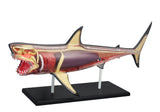 Discovery Mindblown 4D Shark Anatomy Kit