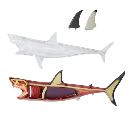 Discovery Mindblown 4D Shark Anatomy Kit