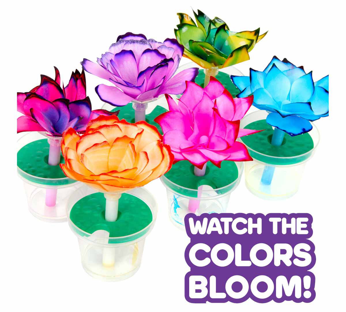 STEAM Paper Flower Science Kit