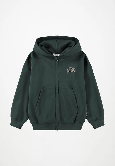 Hoodie and Pants Set - Taxus