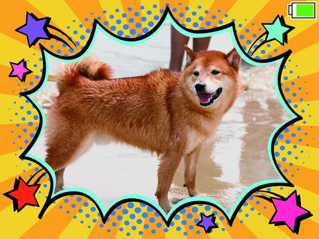 Vtech KidiZoom PrintCam - Blue