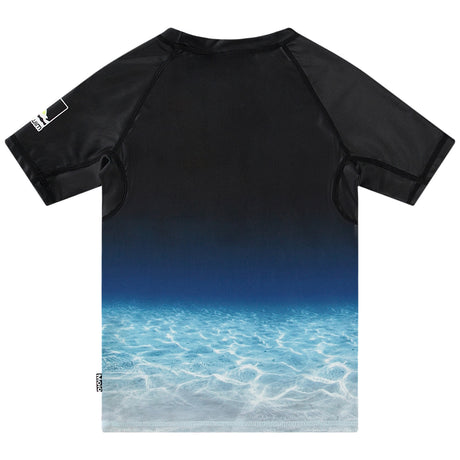 Neptune - Faded Shark
