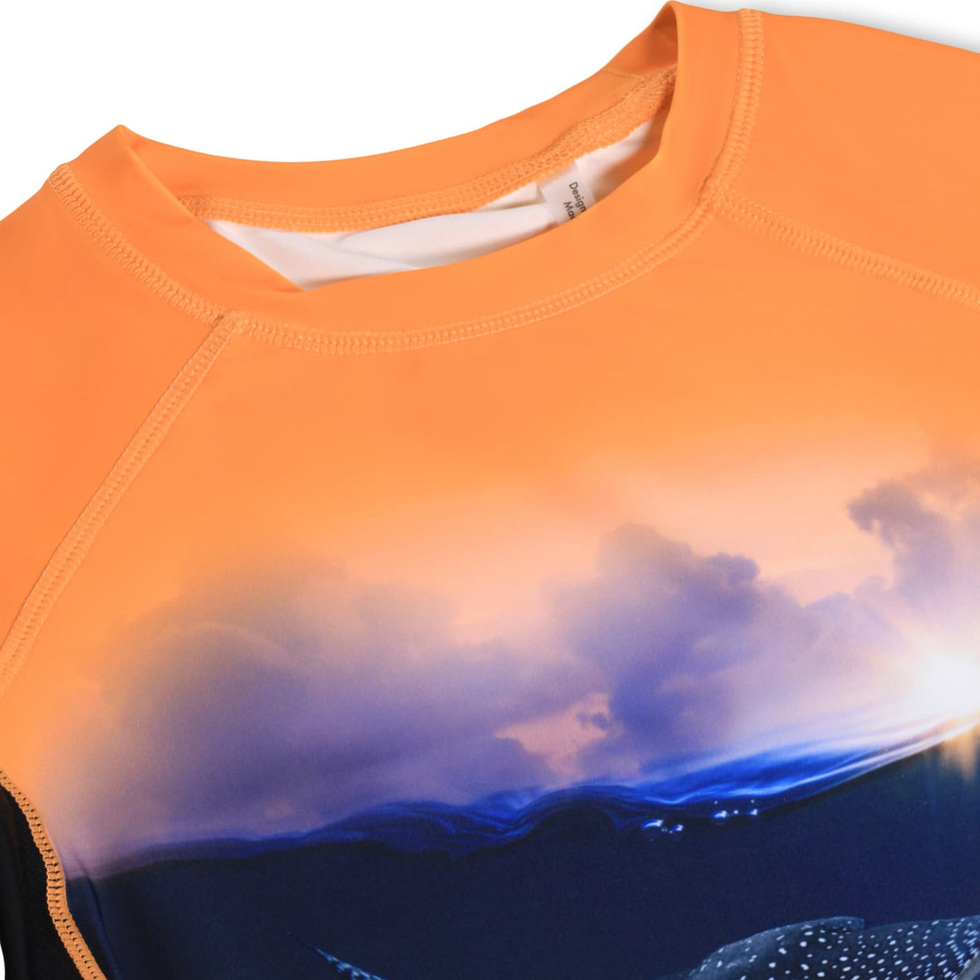 Neptune Rashguard - Into The Sunset