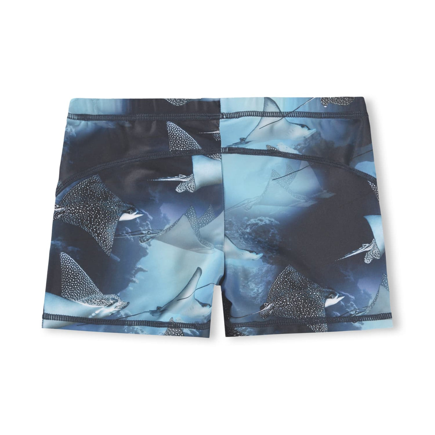 Norton Placed - Into The Blue