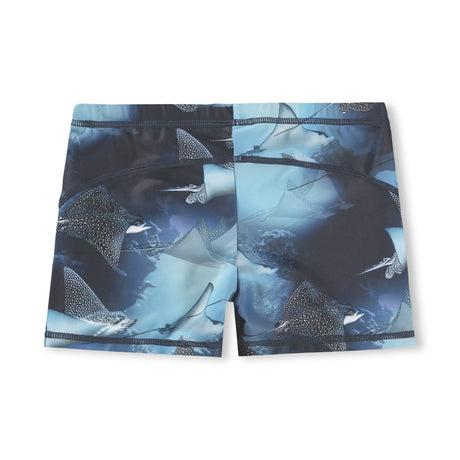 Norton Placed - Into The Blue