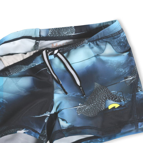 Norton Placed - Into The Blue