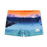 Norton Placed - Into The Sunset