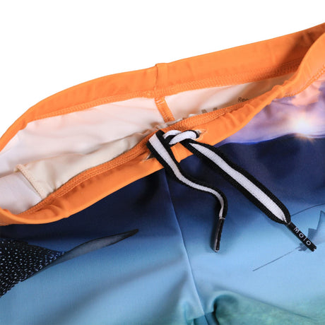 Norton Placed - Into The Sunset