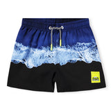 Niko Swimshort - Big Ocean