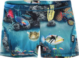 Norton Ocean Living Trunks