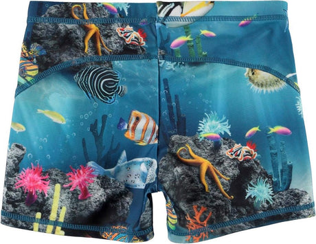 Norton Ocean Living Trunks