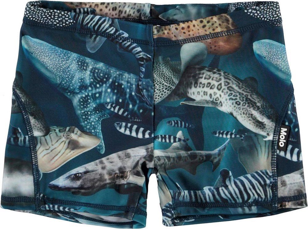 Norton Amazing Sharks Trunks