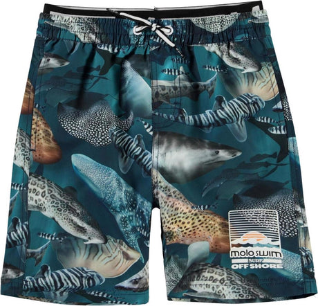 Neal Amazing Sharks Swimshorts