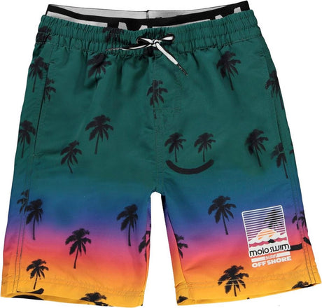 Neal Summer Scrap Swimshorts