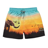 Niko Swim shorts - Happy Sun