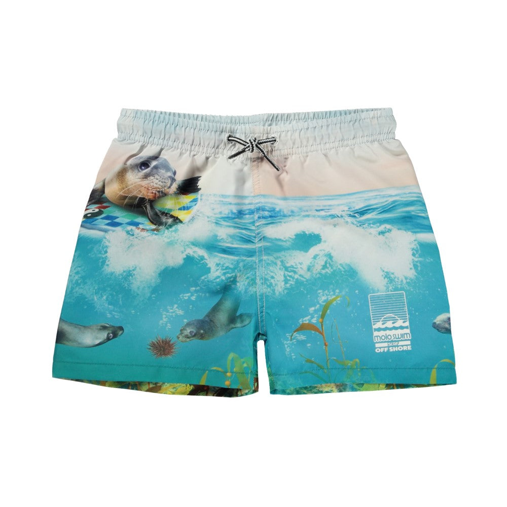 Niko Swim shorts- Sealion