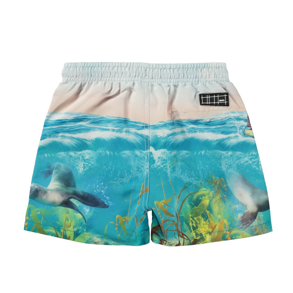 Niko Swim shorts- Sealion