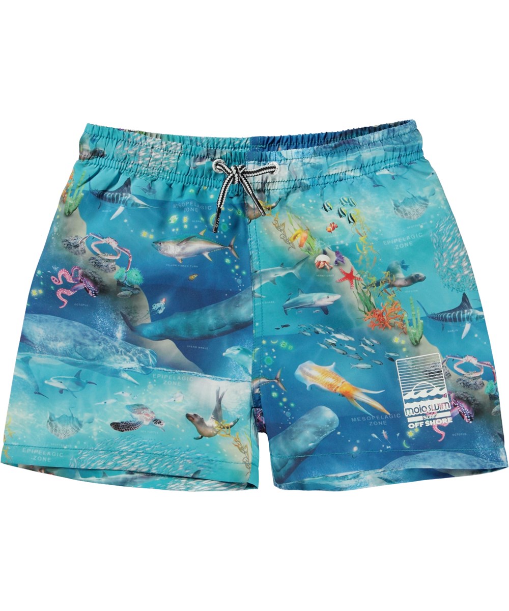 Niko Swim shorts - Ocean Zones