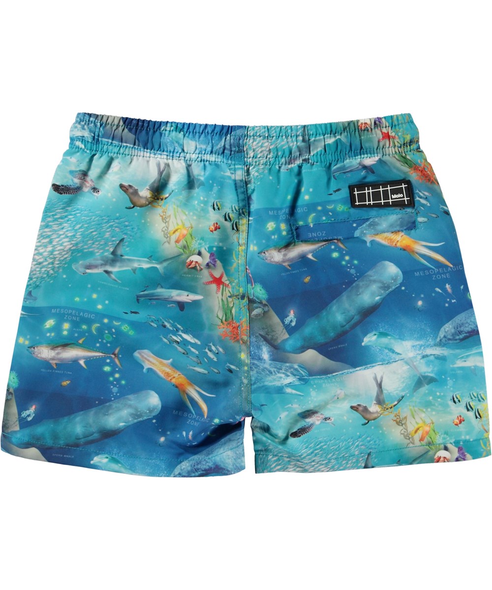 Niko Swim shorts - Ocean Zones