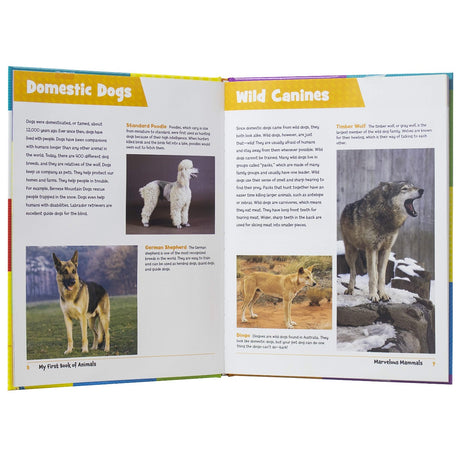 Active Minds - My First Book of Animals