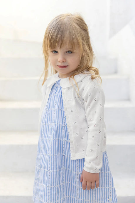 Dress - Azure Cotton Peter Pan Collar