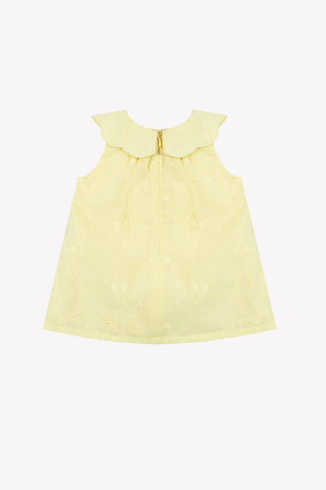 Dress - Citrus Cotton Peter Pan Collar