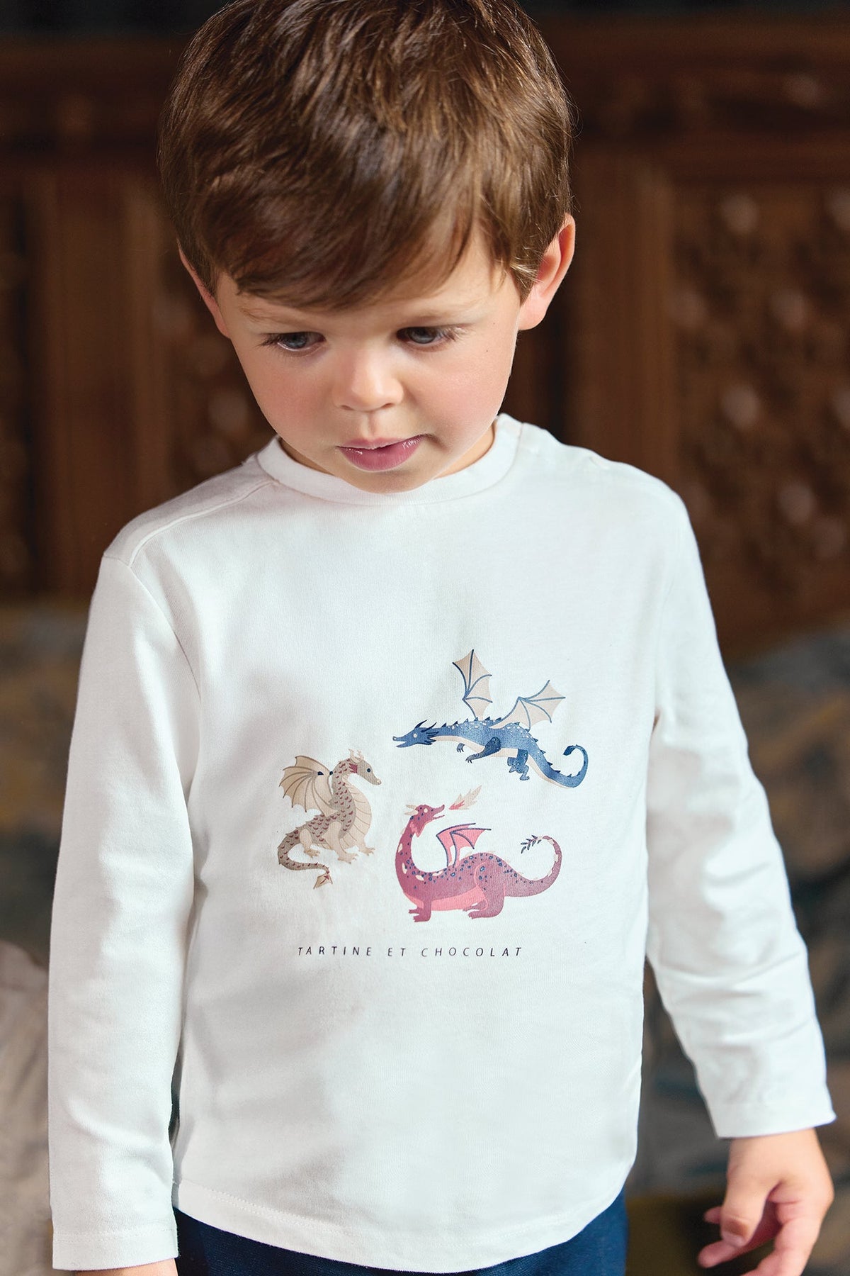 T-Shirt Burgundy Cotton Dinosaur Print