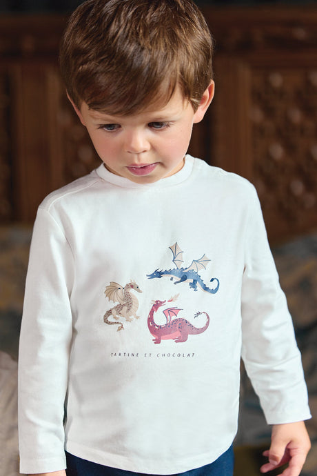 T-Shirt Burgundy Cotton Dinosaur Print