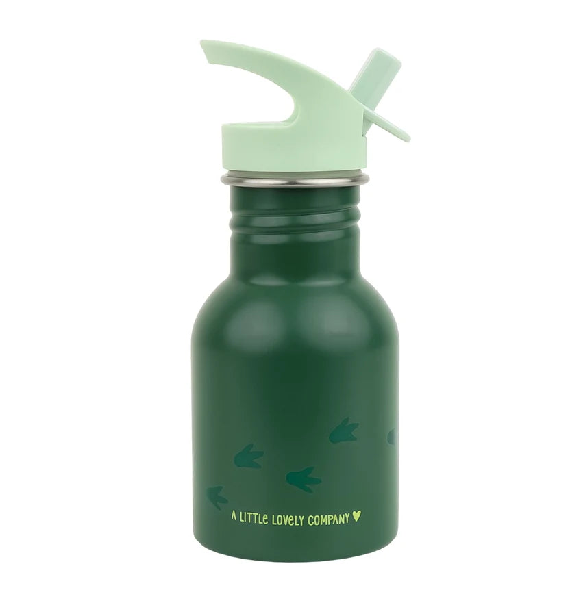 Stainless Steel Drinking Bottle (350ml) - Dinosaur
