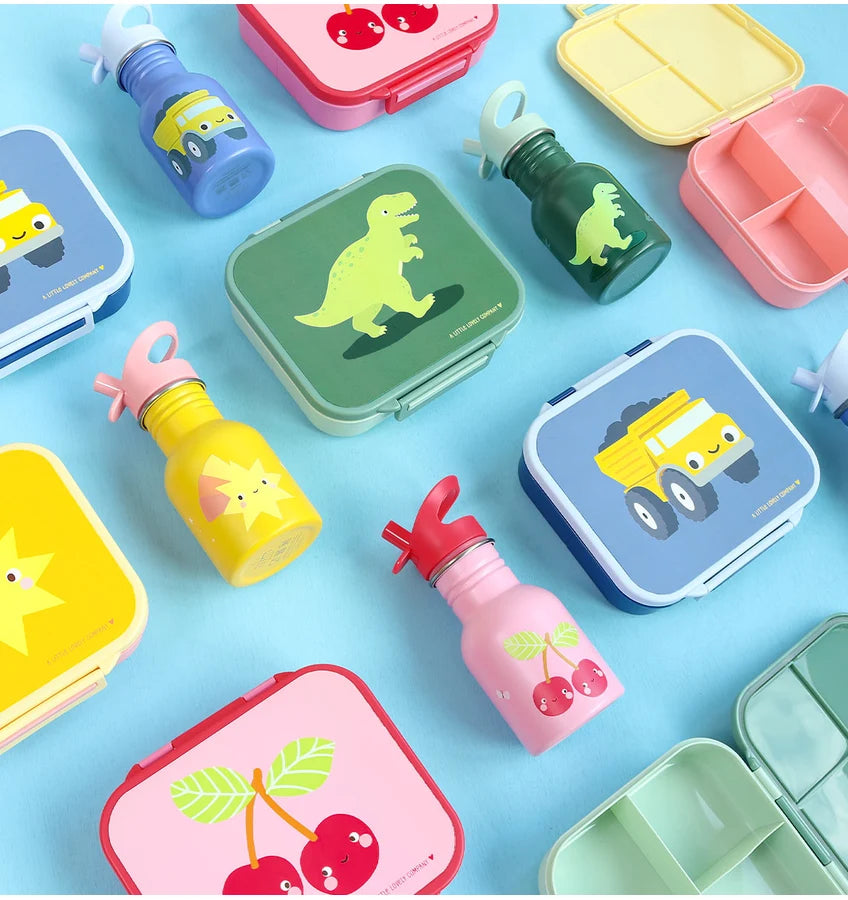Stainless Steel Drinking Bottle (350ml) - Dinosaur