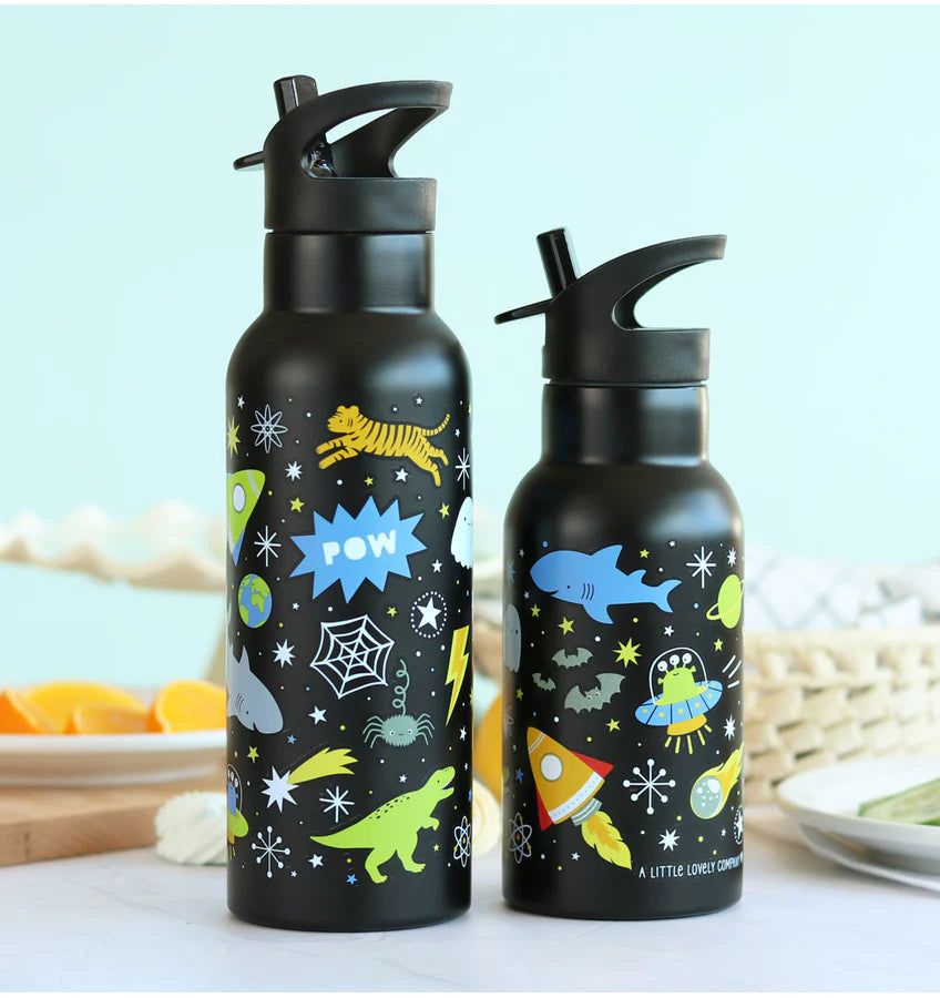 Stainless Steel Water Bottle 500ml - Galaxy