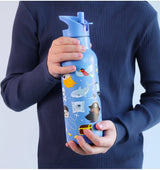 Stainless Steel Water Bottle 500ml - Pirates