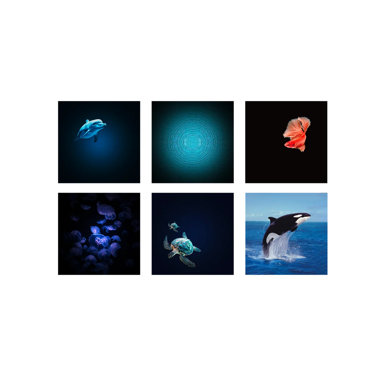 Kidystar - Ocean and seas image projector