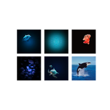 Kidystar - Ocean and seas image projector