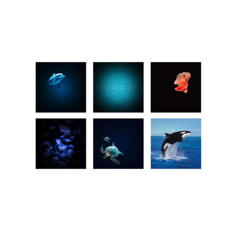 Kidystar - Ocean and seas image projector