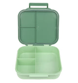 Square Lunch Box (3 compartments) - Dinosaur